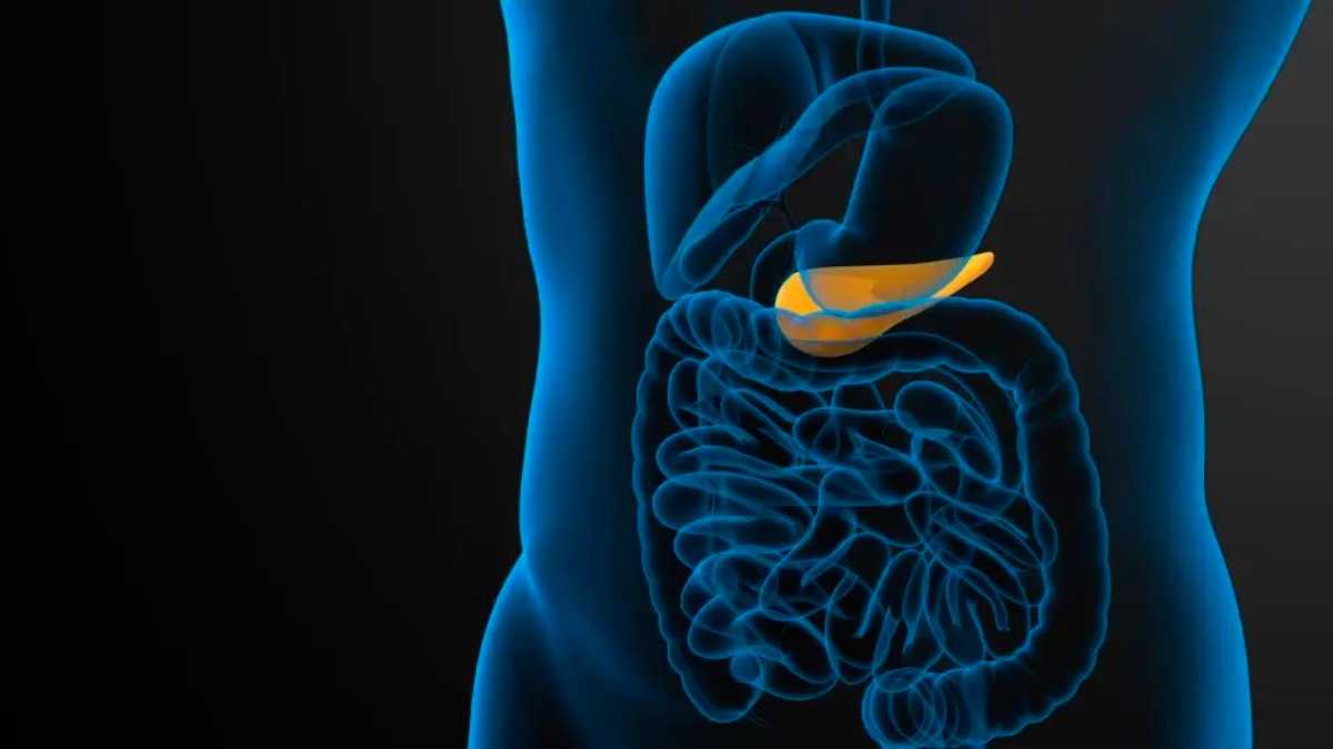 archivo infogate web-5-2-4