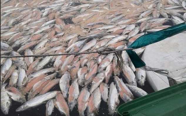 Captura-web_22-11-2023_12196_bloglemu.blogspot.com_