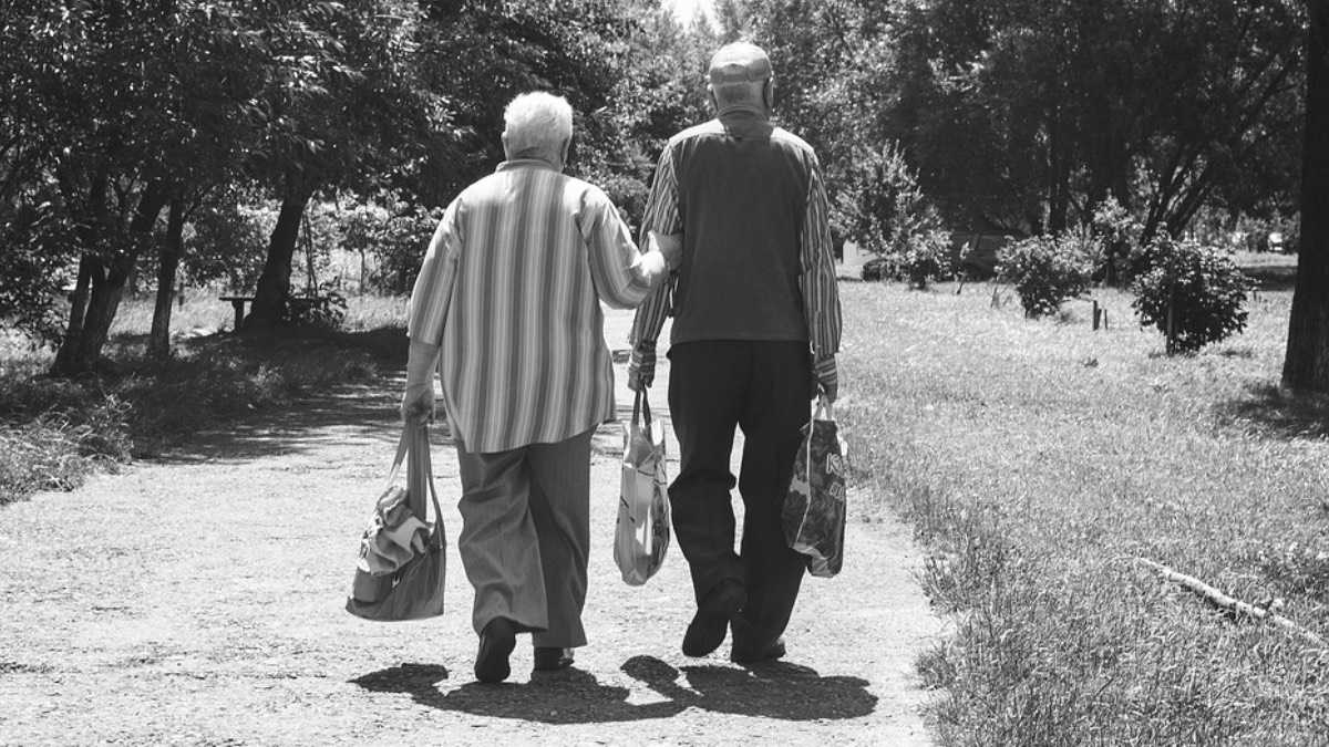 archivo infogate web-5-2-34-12