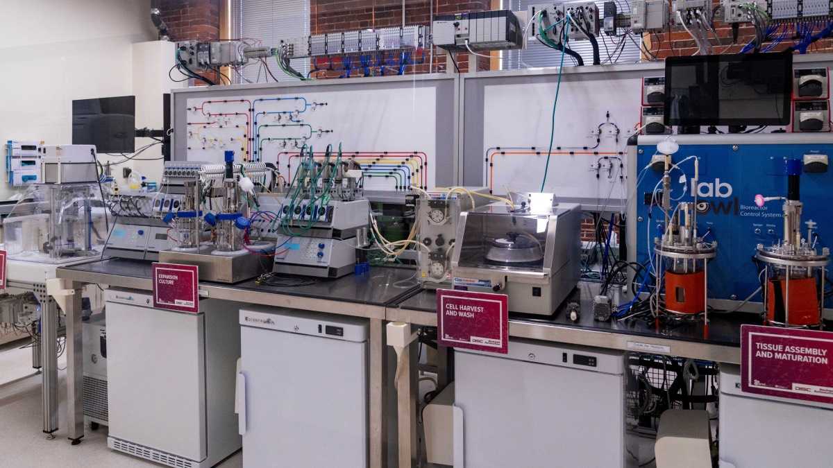 archivo infogate web-5-2-34-27