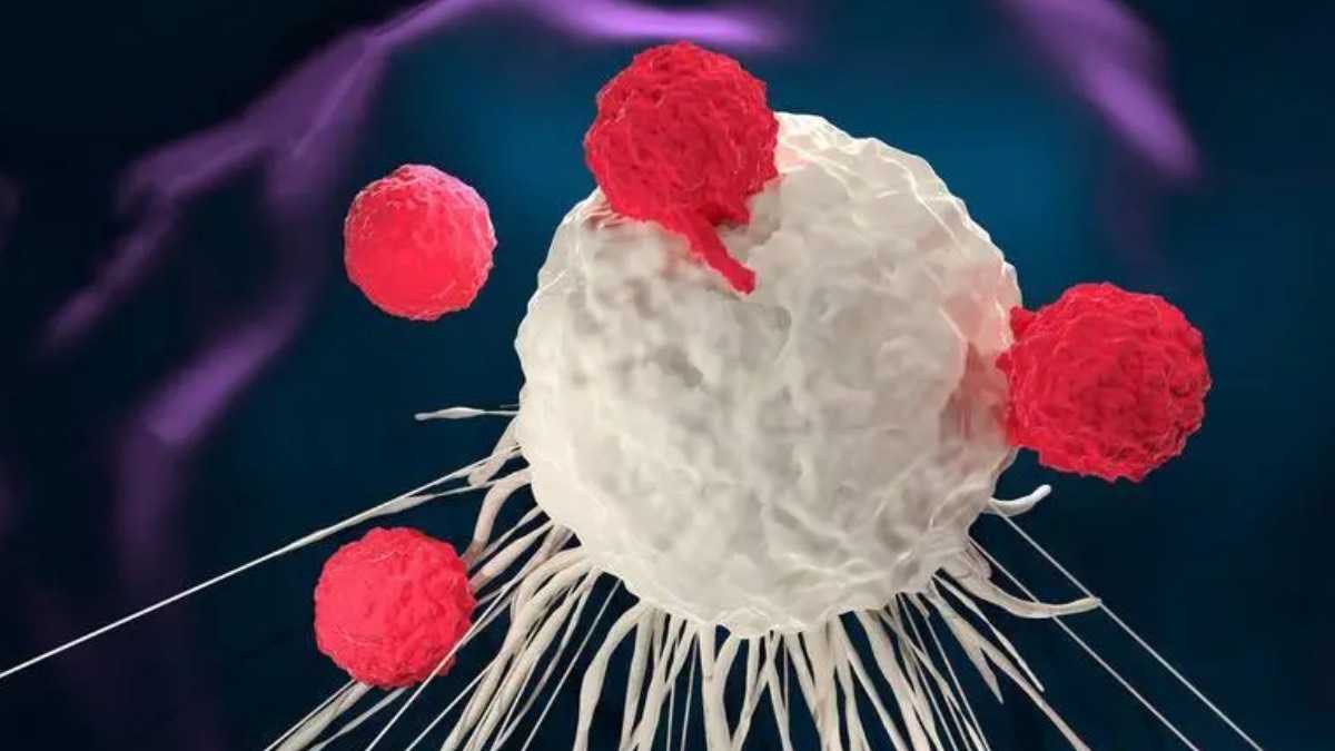 archivo infogate web-5-2-13-25