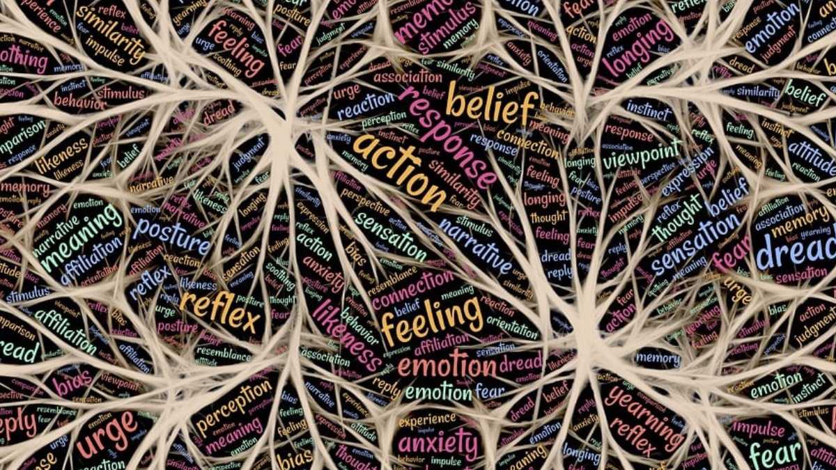 archivo infogate web-5-2-13-48