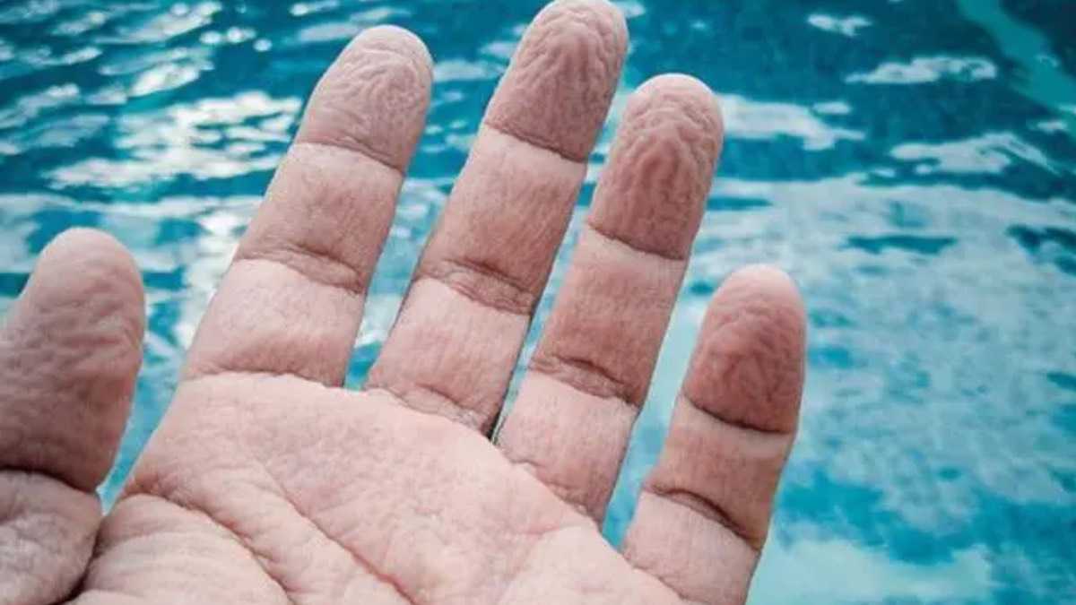 archivo infogate web-5-2-34-3