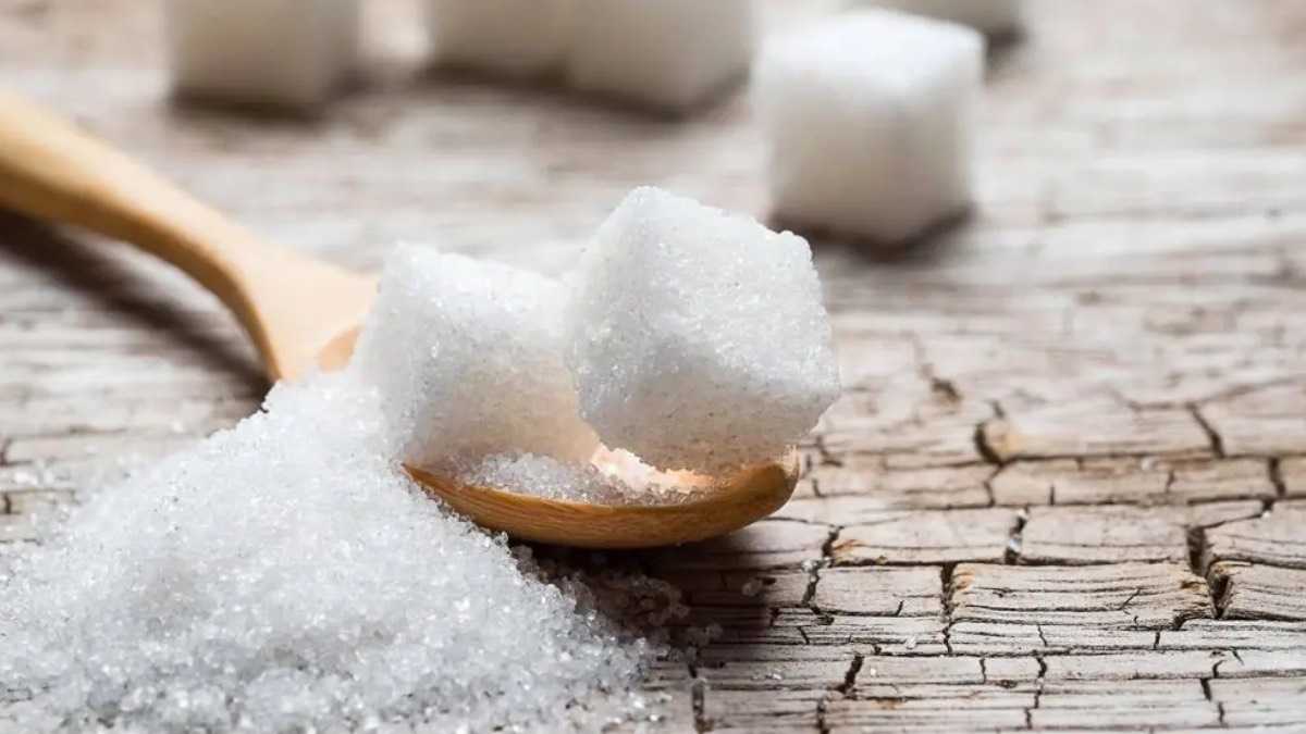 archivo infogate web-5-2-13-24