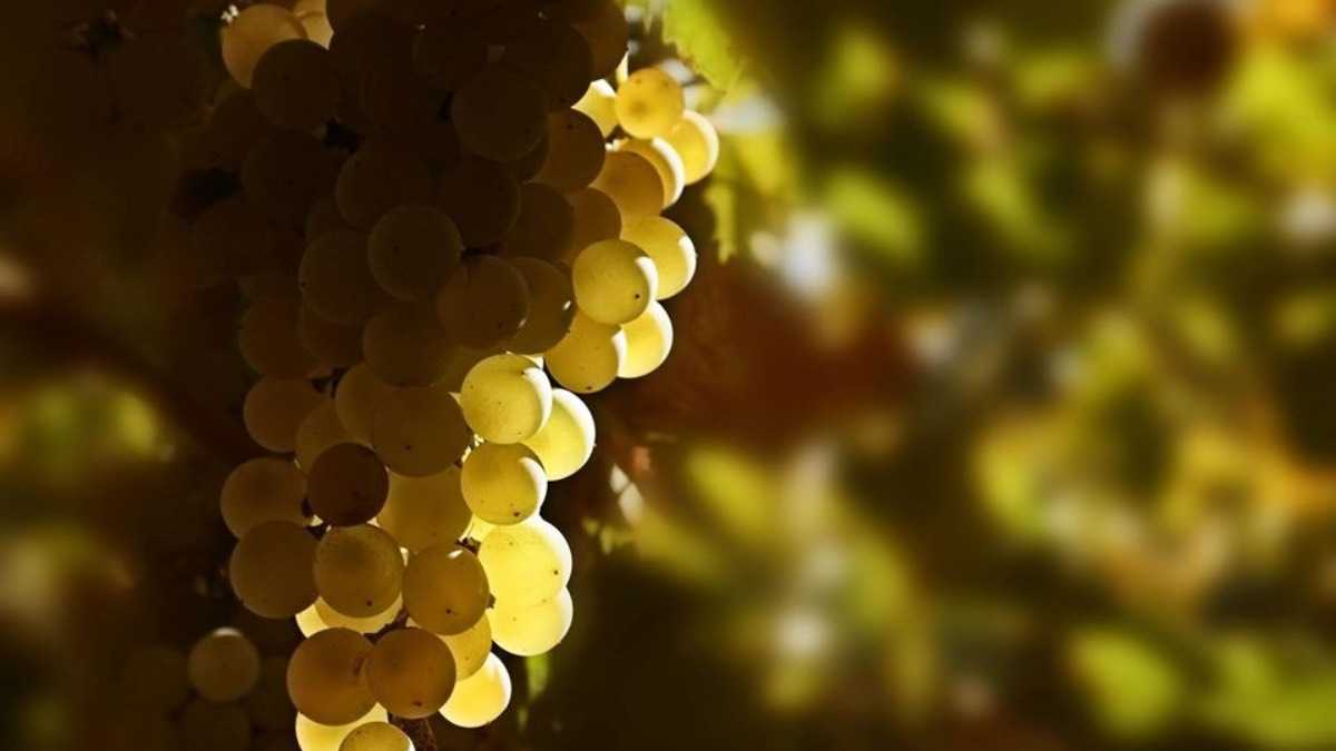 archivo infogate web-5-2-13-42