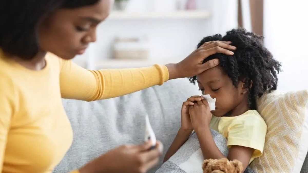 archivo infogate web-5-2-34-12