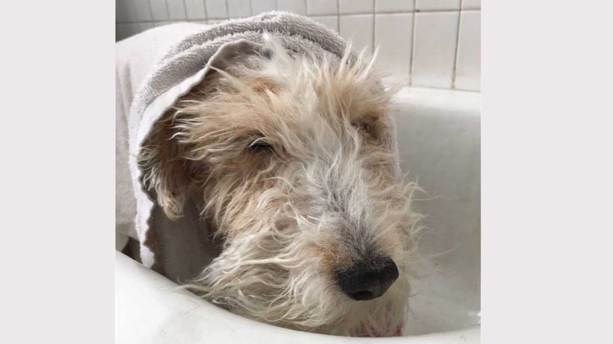 archivo infogate web-5-2-34-13