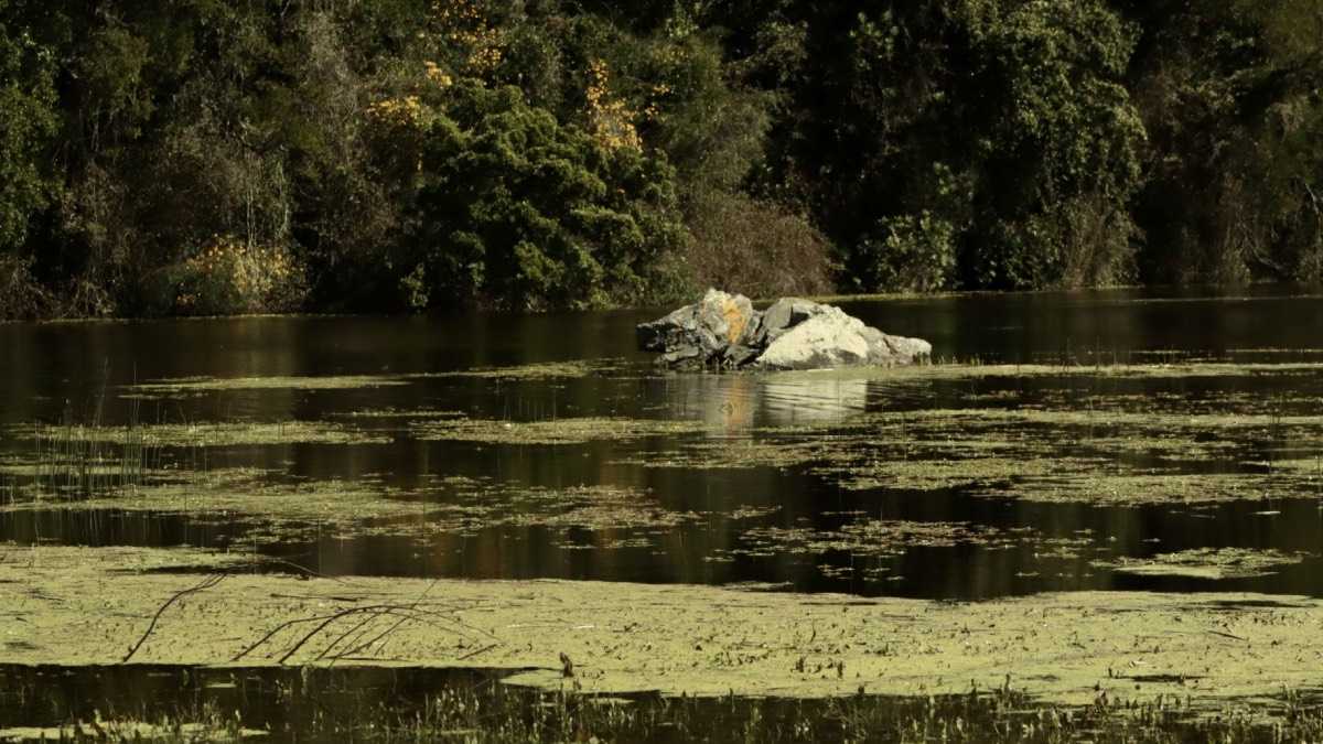 archivo infogate web-5-2-34-14