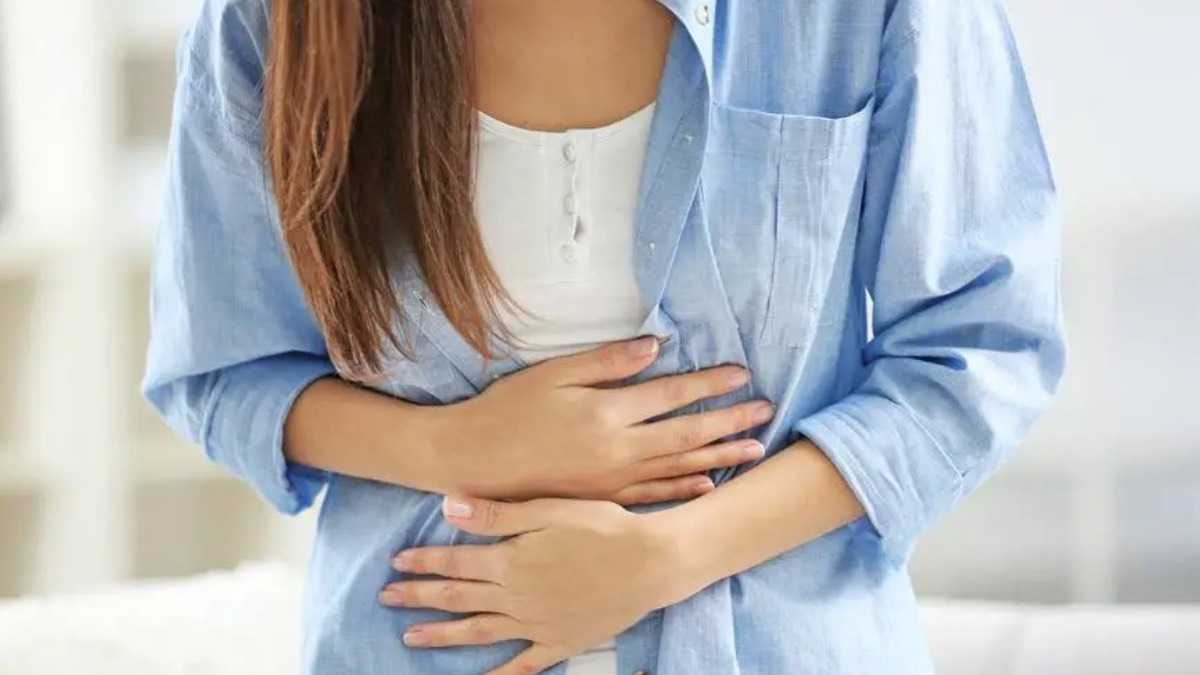 archivo infogate web-5-2-34-16