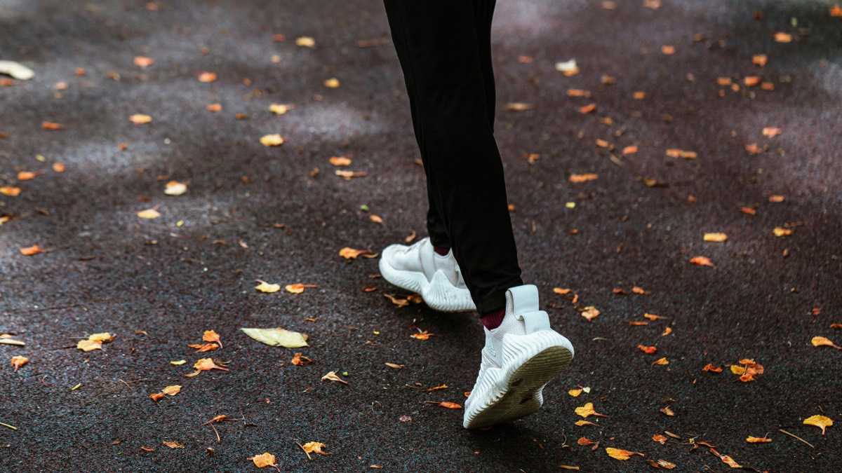 archivo infogate web-5-2-34-23