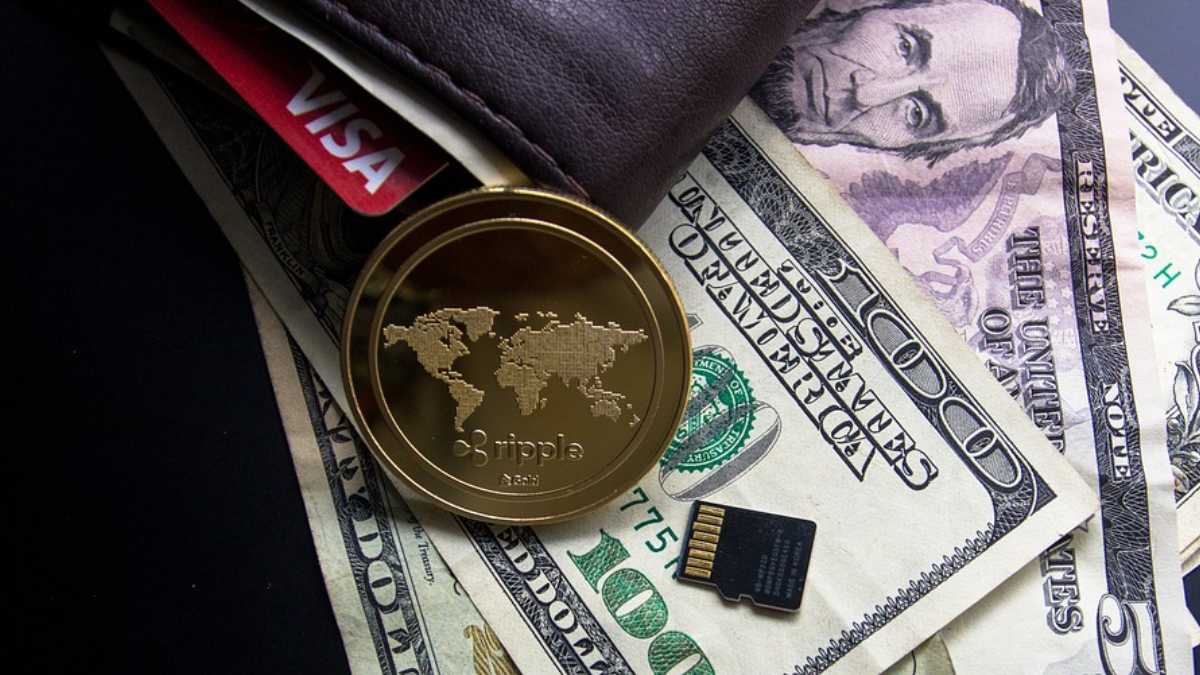 archivo infogate web-5-2-34-36