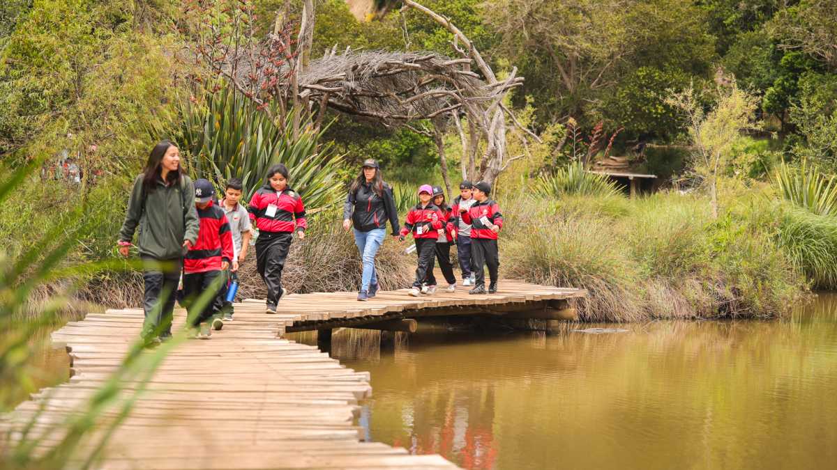 archivo infogate web-5-2-34-39