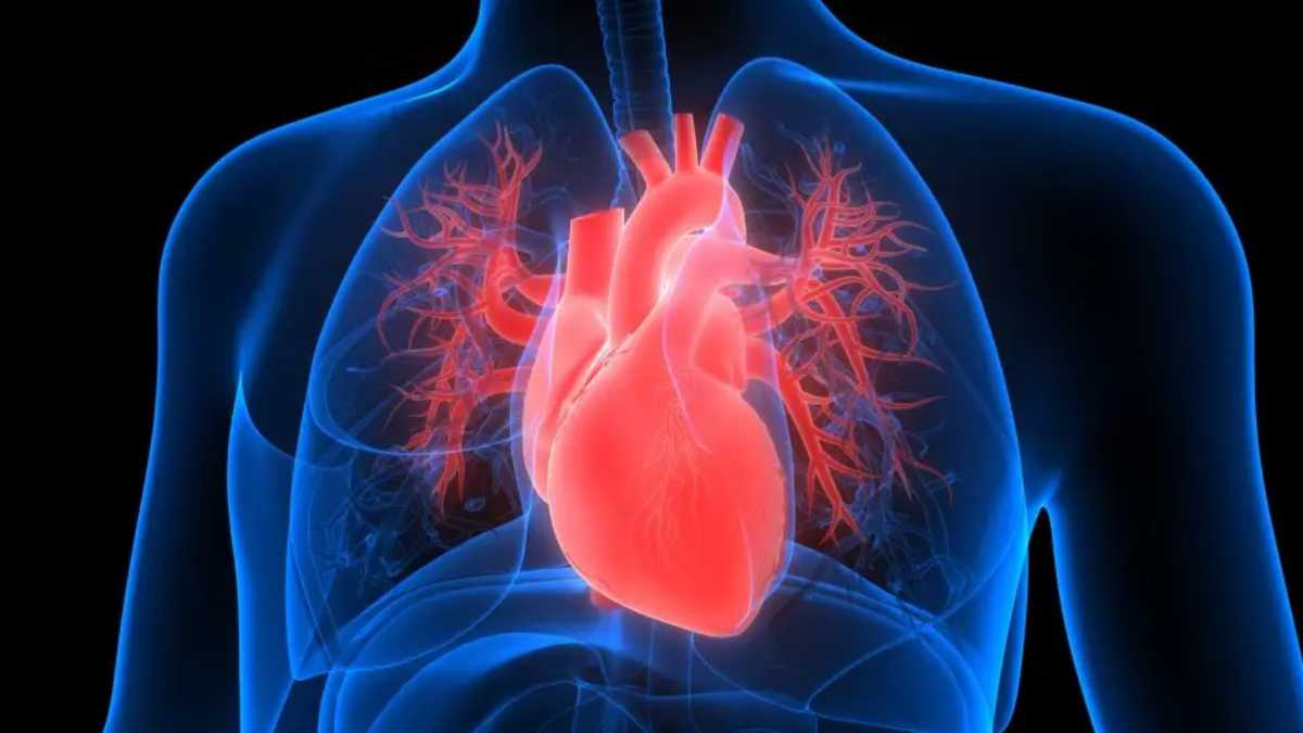 archivo infogate web-5-2-34-47