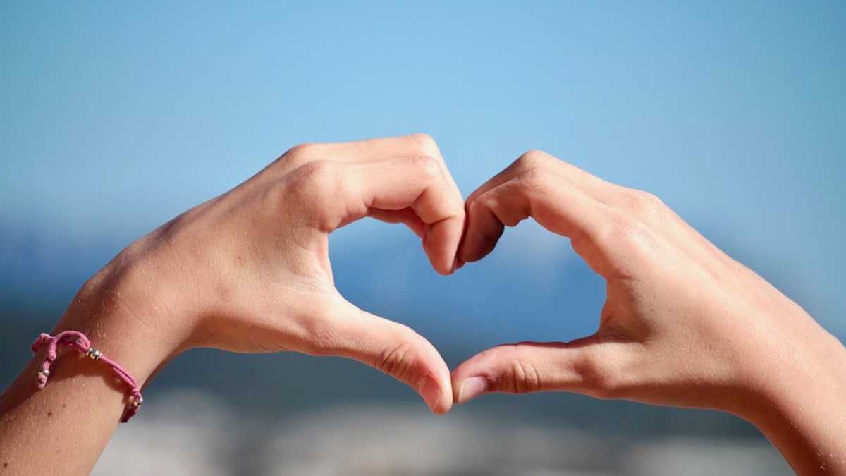 archivo infogate web-5-2-13-22