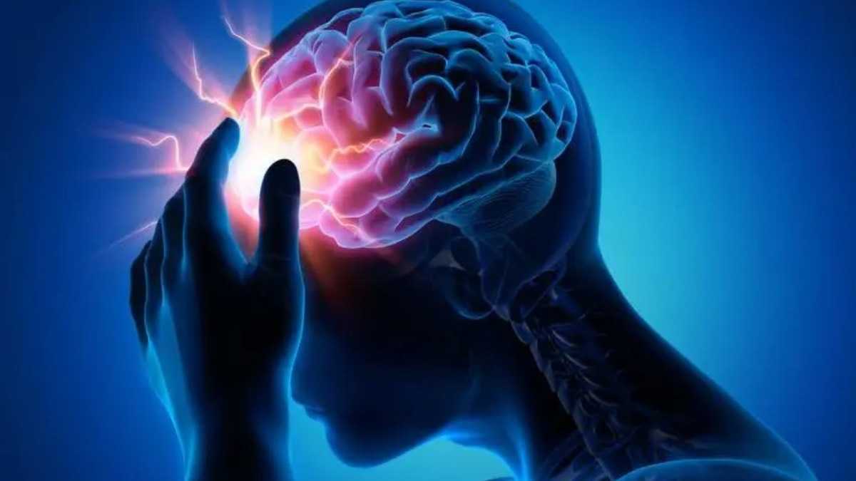 archivo infogate web-5-2-13-25