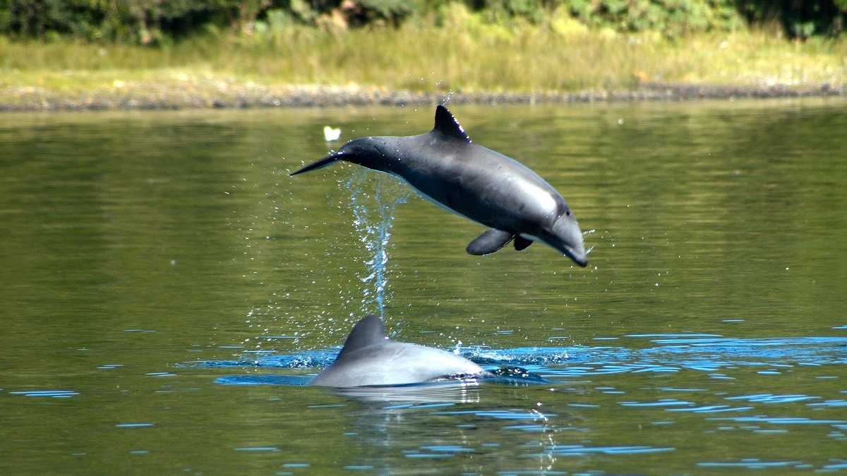 archivo infogate web-5-2-34-10