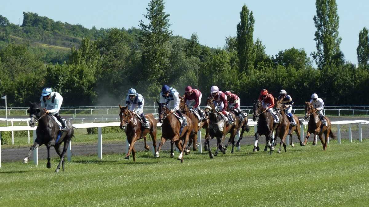 archivo infogate web-5-2-34-14