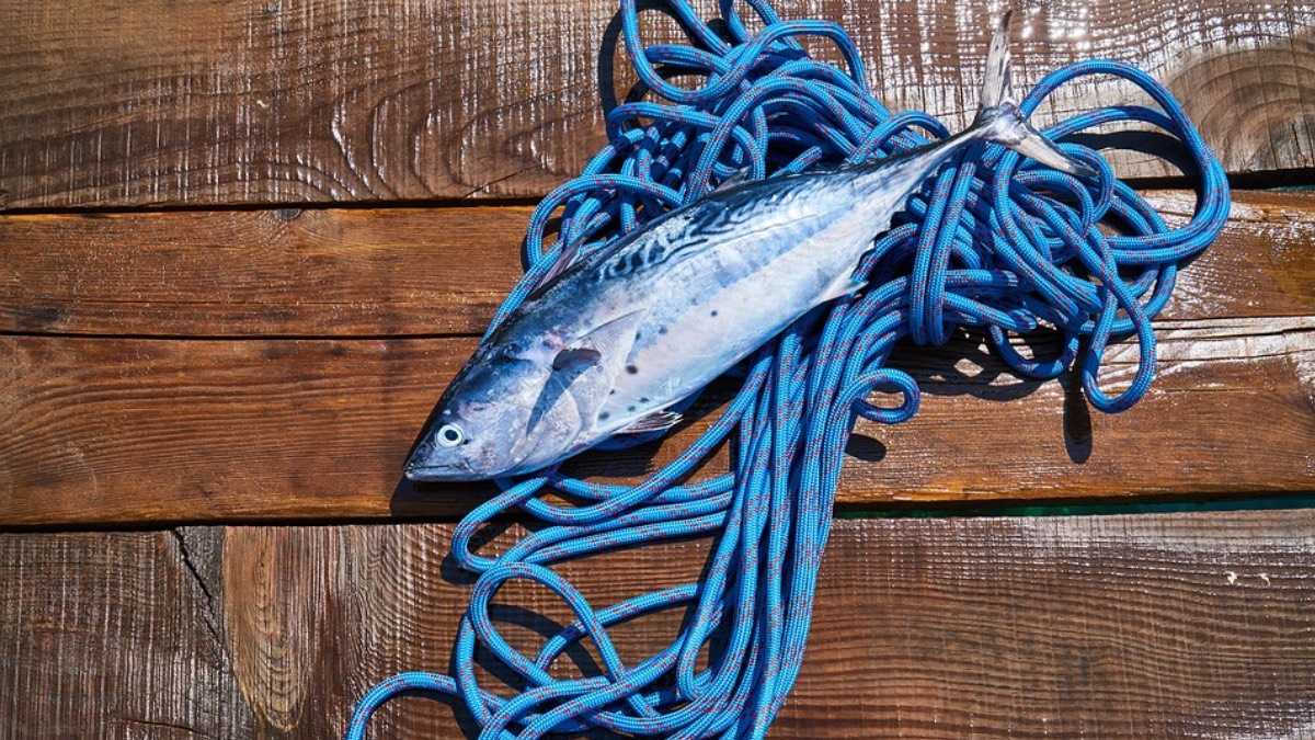 archivo infogate web-5-2-34-23