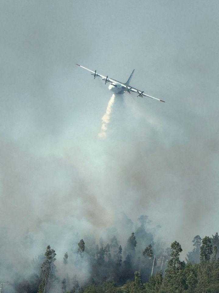 incendio-cerro-nielol-redgeocientífica