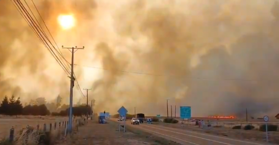 incendio-forestal-victoria-infos-chile