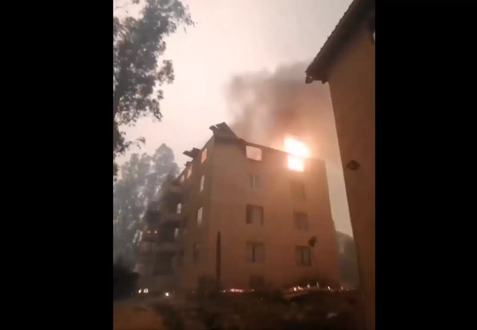 incendio vina2febrero2024