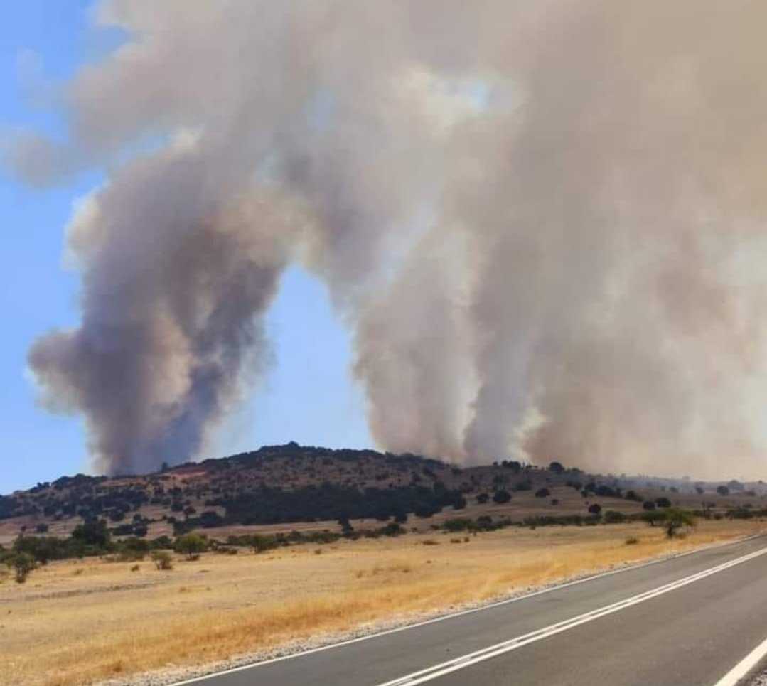 infos-chile-incendio-la estrella