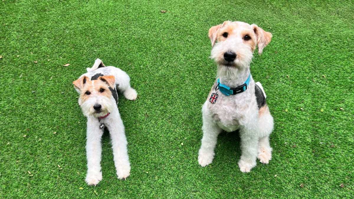 archivo infogate web-5-2-13-29