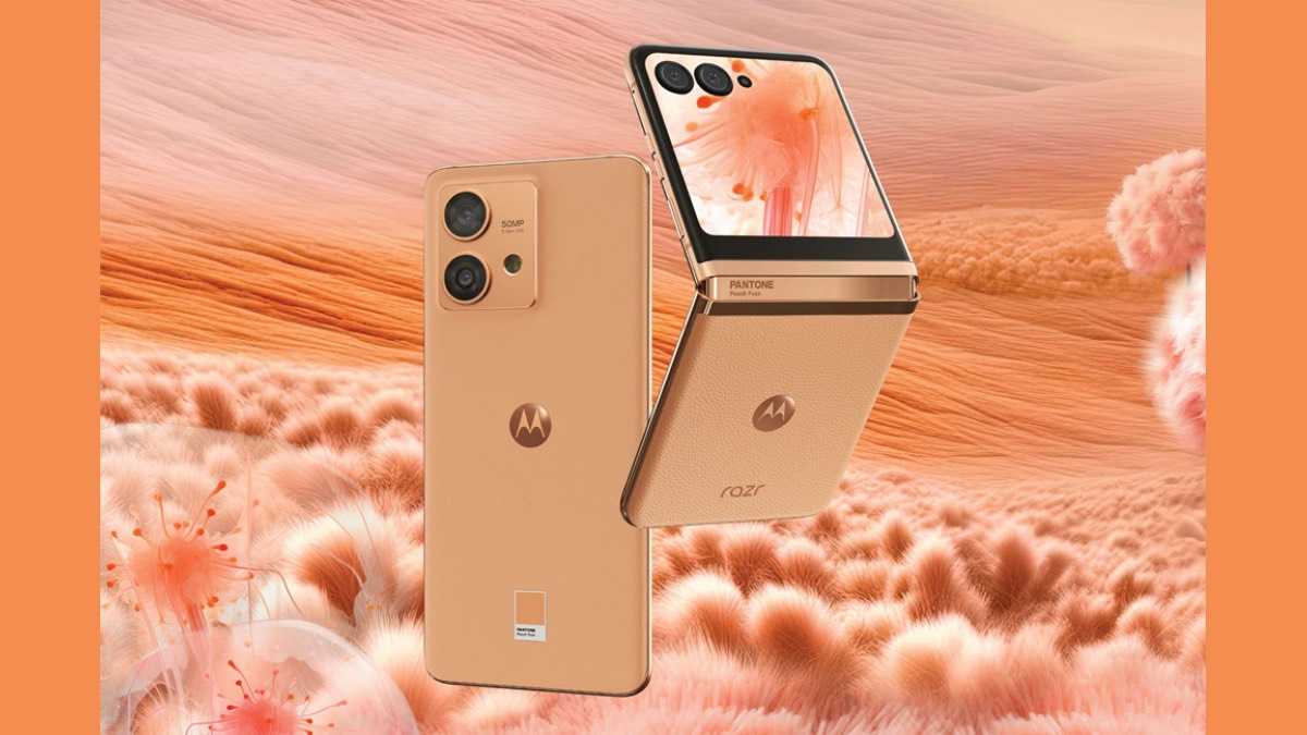 archivo infogate web-5-2-34-12