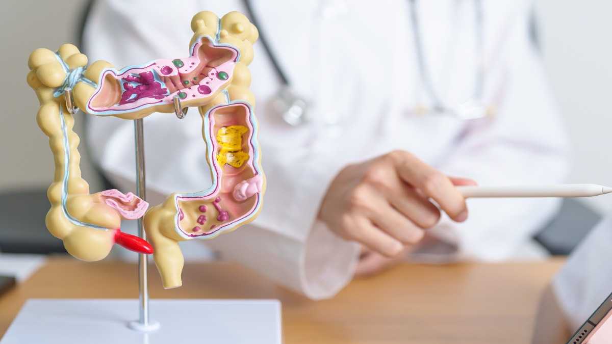 archivo infogate web-5-2-34-16