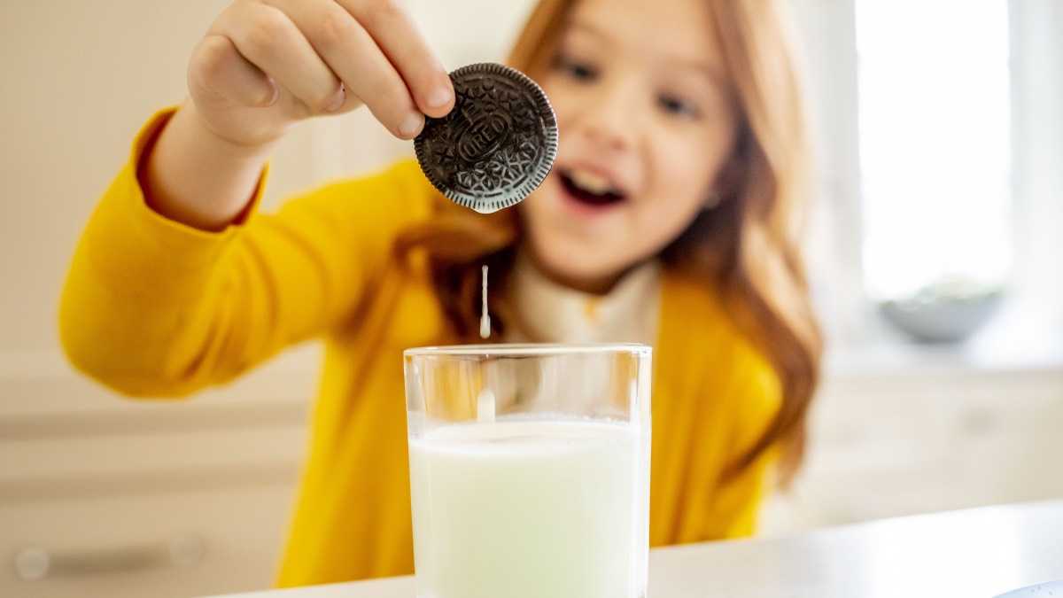 archivo infogate web-5-2-34-17