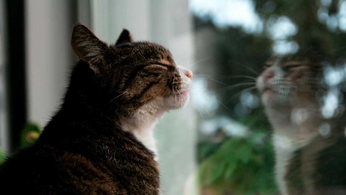 archivo infogate web-5-2-34-22