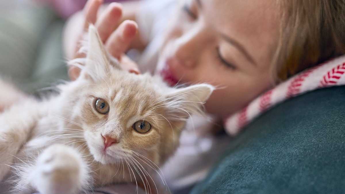 archivo infogate web-5-2-34-29