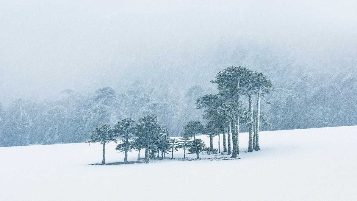 archivo infogate web-5-2-34-6