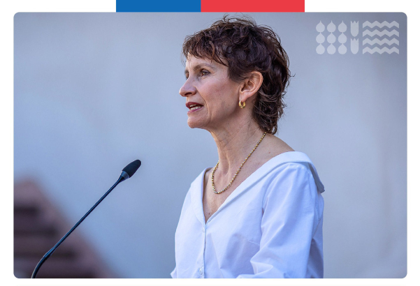 carolina-toha-ministerio-interior