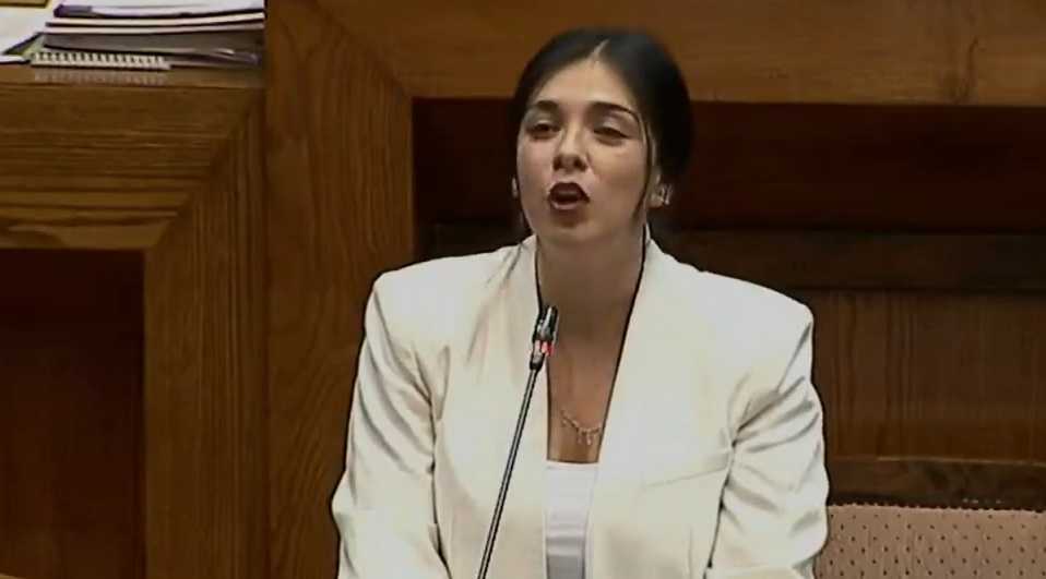 Karol Cariola Camara 2