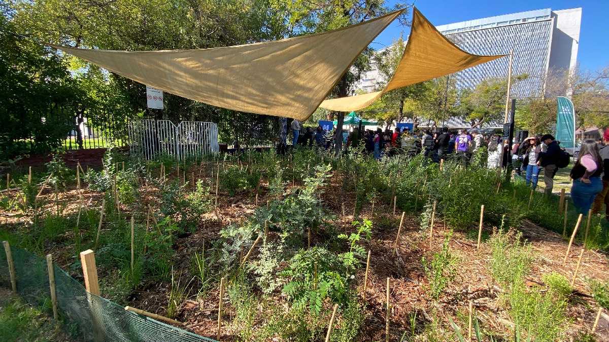 archivo infogate web-5-2-34-18