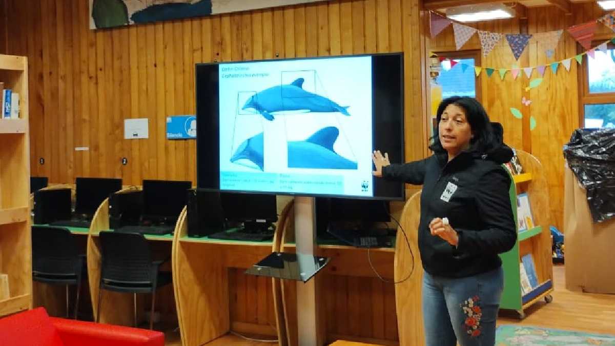 archivo infogate web-5-2-34-20