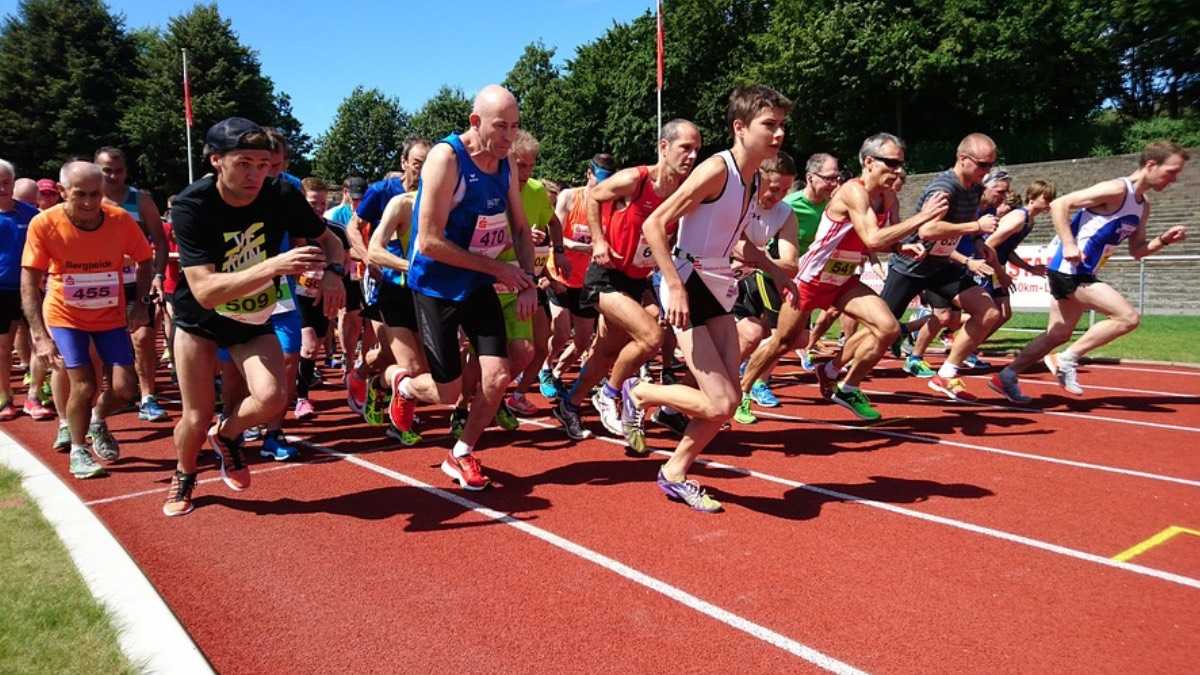 archivo infogate web-5-2-34-21