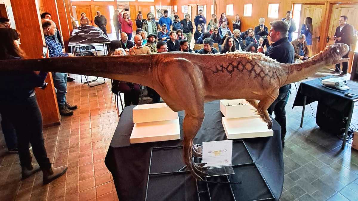 archivo infogate web-5-2-34-25