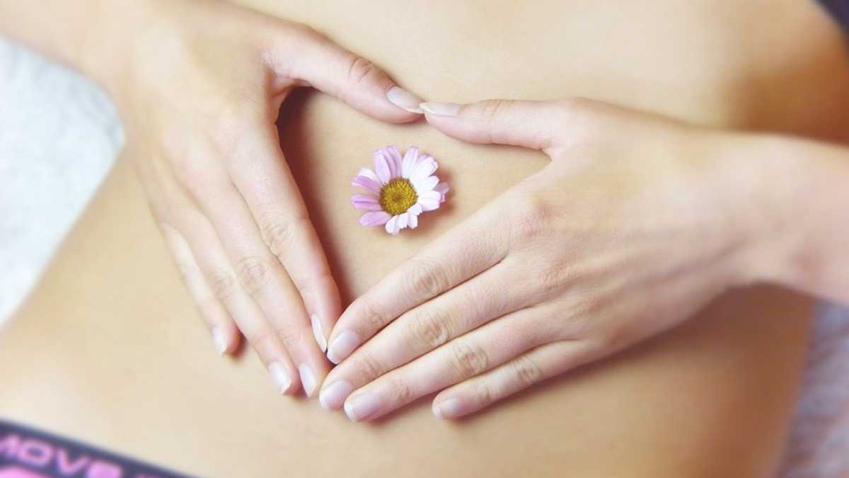 archivo infogate web-5-2-34-27