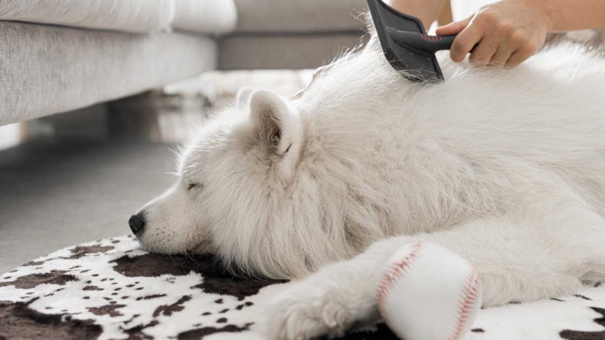 archivo infogate web-5-2-34-41