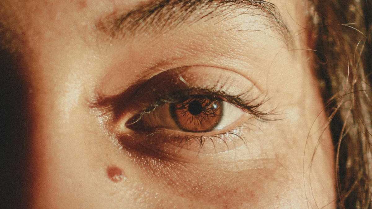 archivo infogate web-5-2-34-5