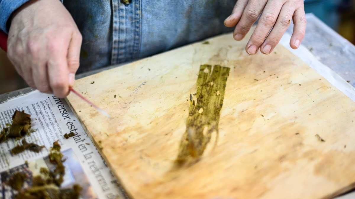 archivo infogate web-5-2-34-9