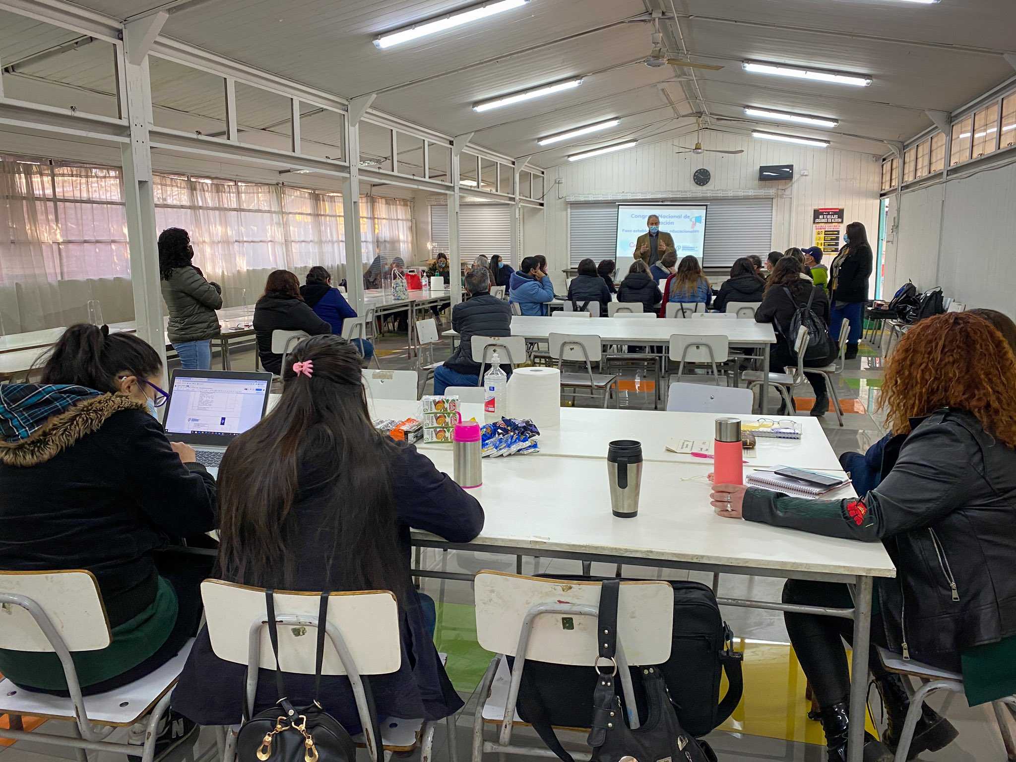 colegio de profesores RM