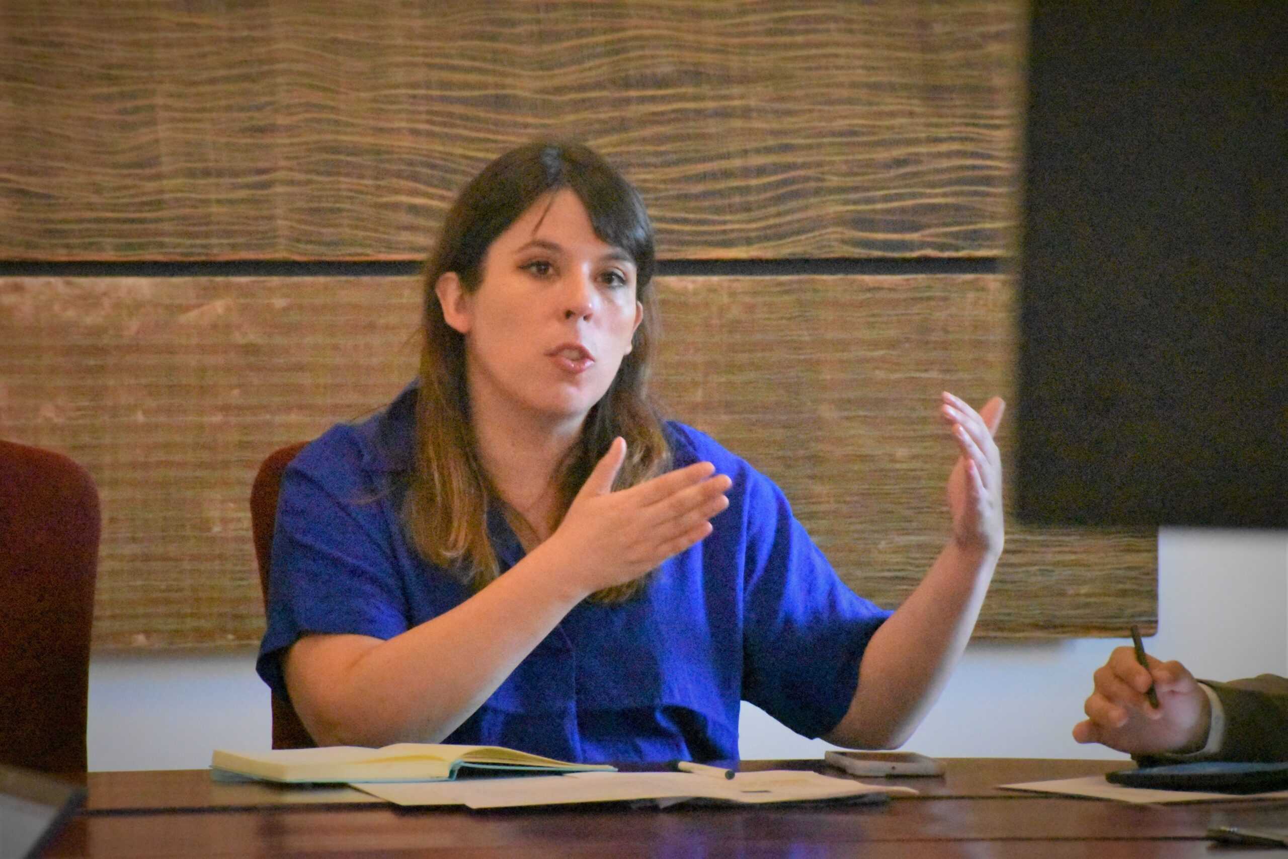 delegada presidencial RM Constanza Martinez
