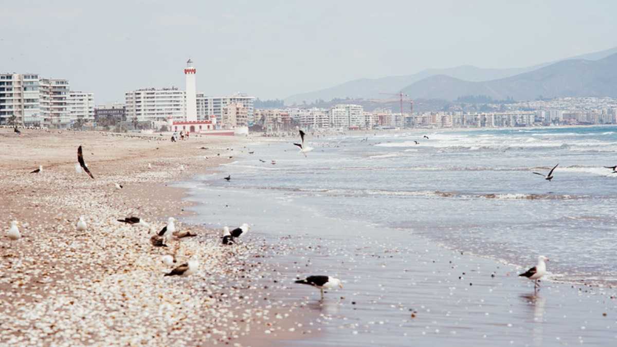 archivo infogate web-5-2-34-27