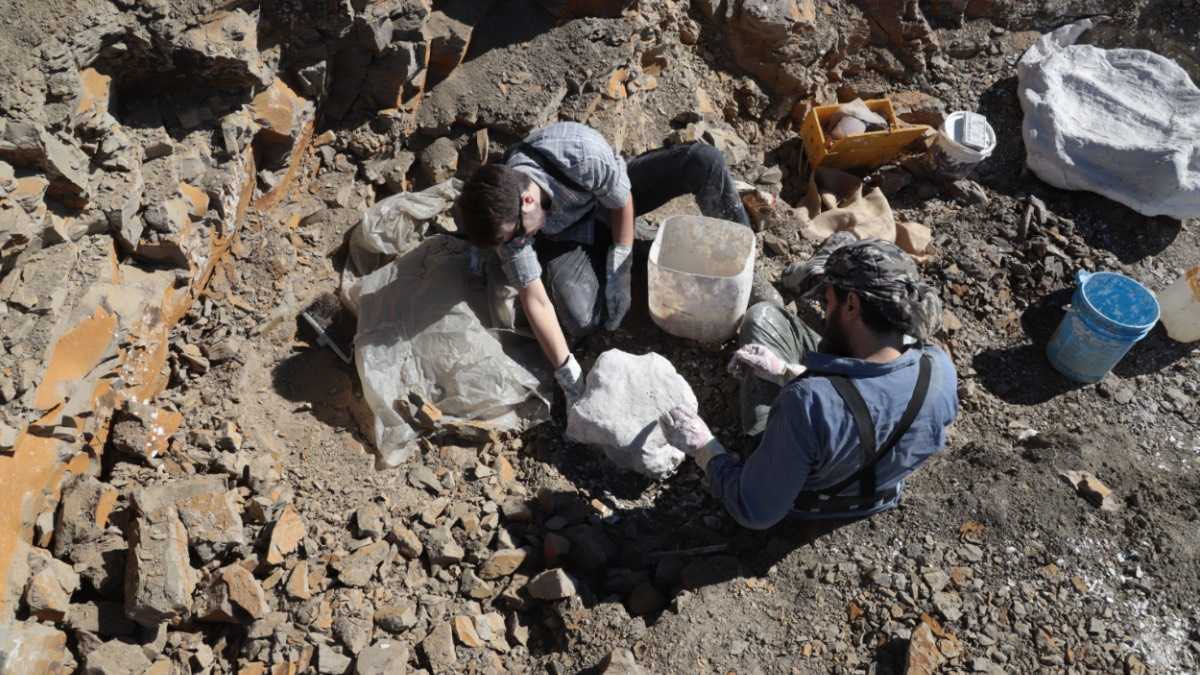 archivo infogate web-5-2-34-36