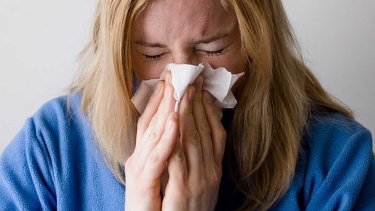 archivo infogate web-5-2-34-37