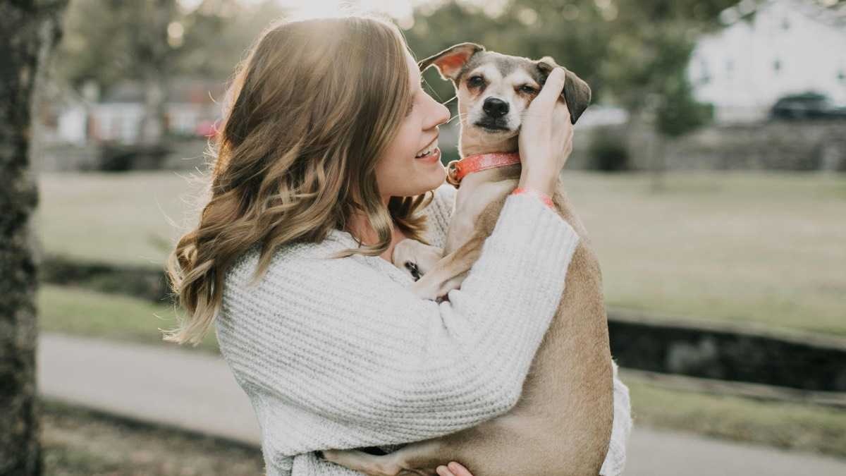 archivo infogate web-5-2-34-42