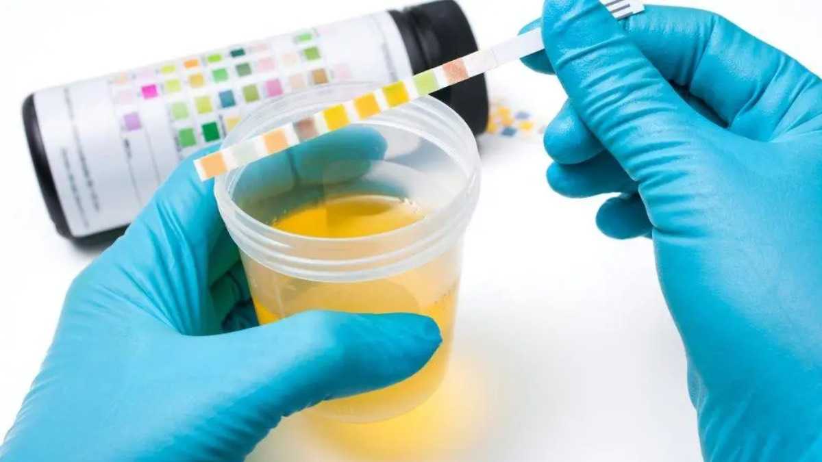 archivo infogate web-5-2-34-46